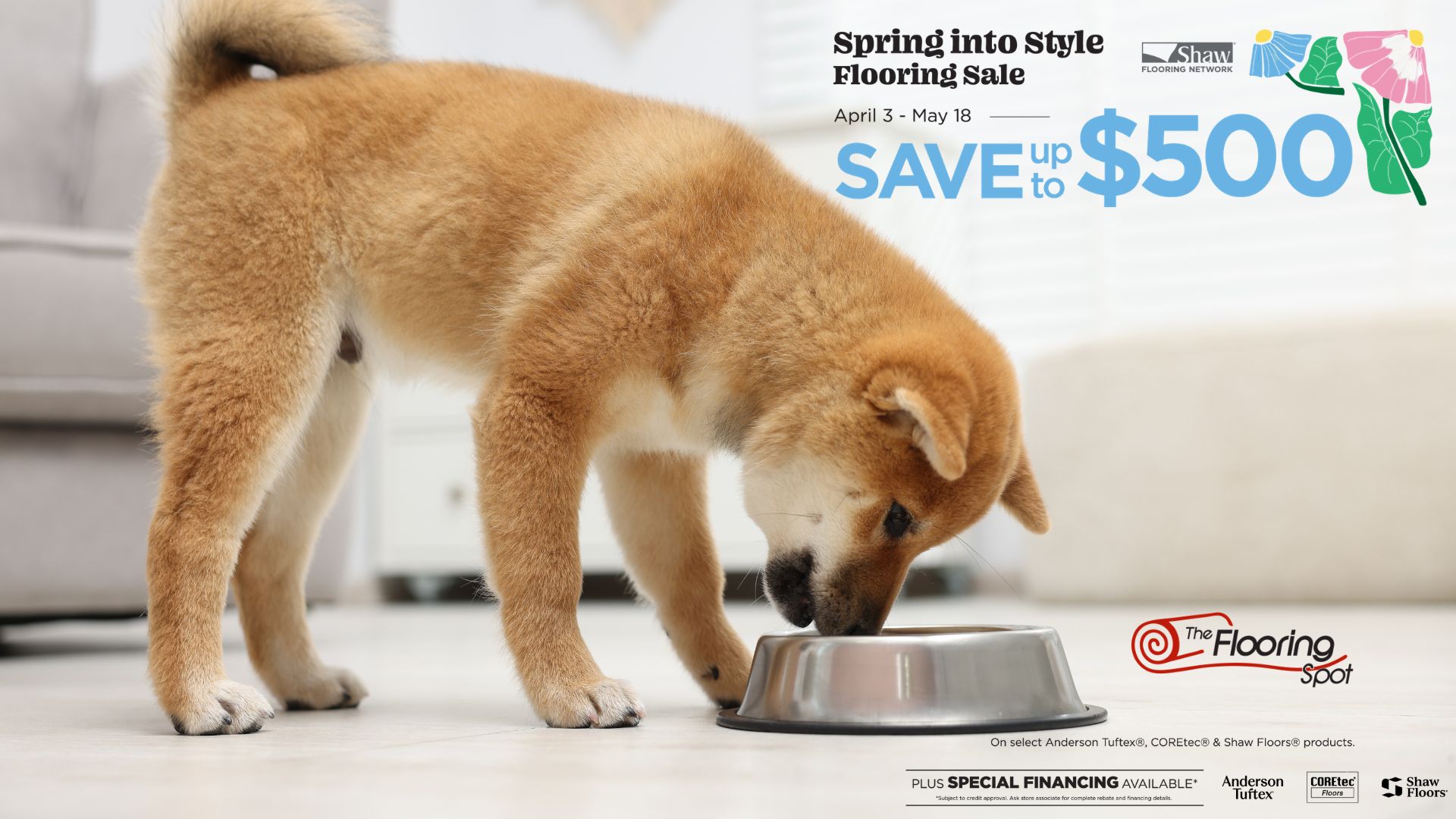 spring_petfriendly (1920 x 1080 px)